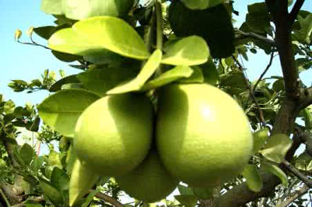 九游游戏下载案例展示一