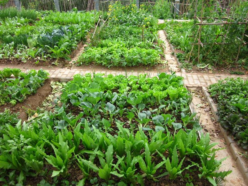 九游游戏下载案例展示五