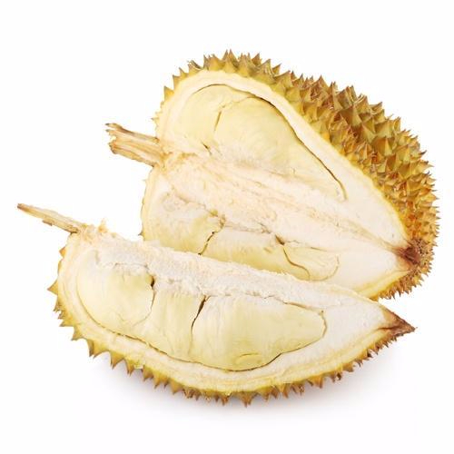 九游游戏下载产品名称二