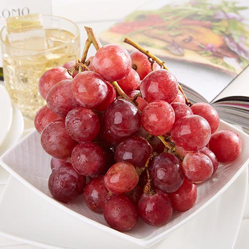 九游游戏下载产品名称五